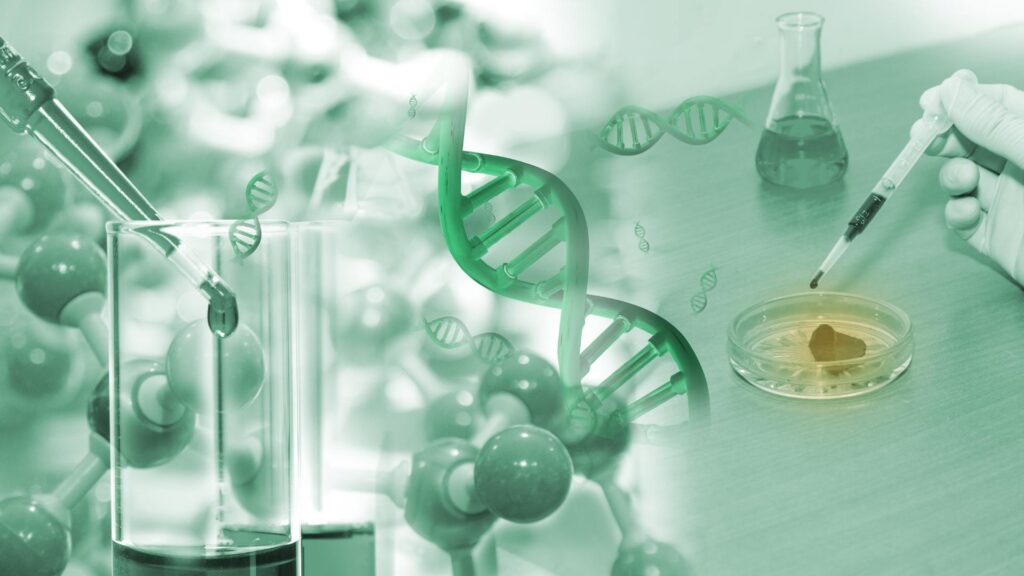 Sciences‑Environnement‑Société