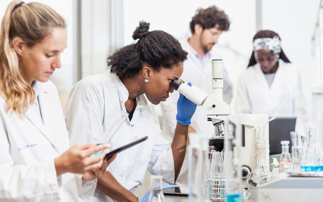 Licence pluridisciplinaire CPES : comment intégrer le cursus Sciences Environnement Société à Nice ?