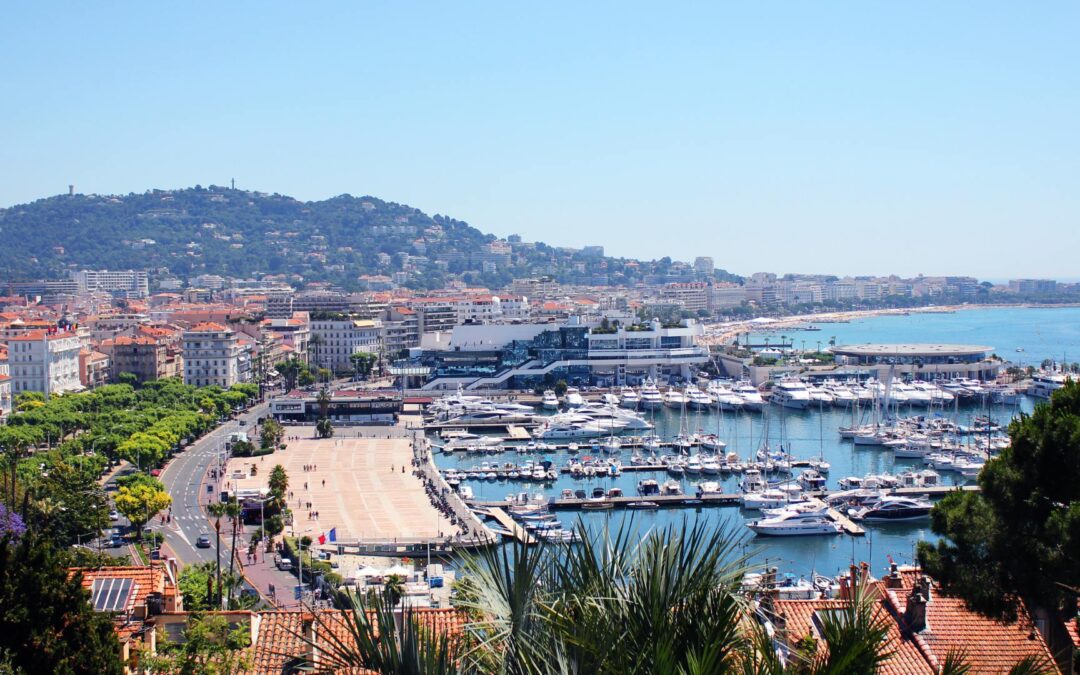Licences créatives et numérique à Cannes : zoom sur le CPES Humanités, lettres et sociétés